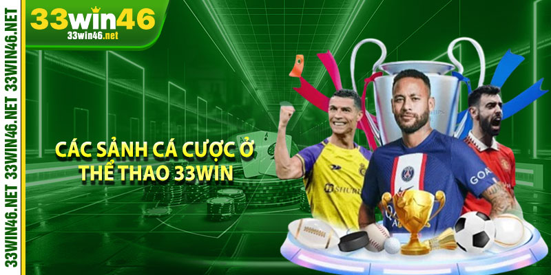 Các sảnh cá cược ở thể thao 33win