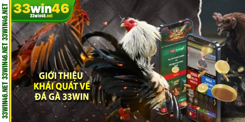 Giới thiệu khái quát về đá gà 33win